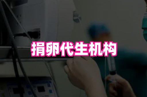 123试管孕网 3